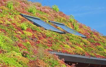 Egerton Forstal living roof systems