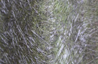 Egerton Forstal fibreglass roof work